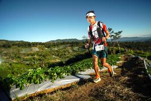 BIB: 
                            <button type="button" onclick="openModal(19114184)" class="btn btn-primary btn-sm float-right btn-popup" data-toggle="modal" data-target=".modal-high-quality">
                        <i class="fas fa-shopping-cart"></i> Add to Cart
                    </button>
                                            <button type="button" onclick="isThisMe(19114184, true)" class="btn btn-success btn-sm float-right btn-popup btn-isme hidden" data-toggle="tooltip" data-placement="bottom" title="นี่คือรูปของคุณใช่ไหม คลิกที่นี่เพื่อเอาเข้าอัลบั้ม">
                        <i class="fas fa-plus"></i> Add to album
                    </button>
                    <button type="button" onclick="isThisMe(19114184, false)" class="btn btn-warning btn-sm float-right btn-popup btn-isnotme hidden">
                        <i class="fas fa-ban"></i> Remove from album
                    </button>